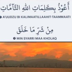 Educating Mr Rafizi.